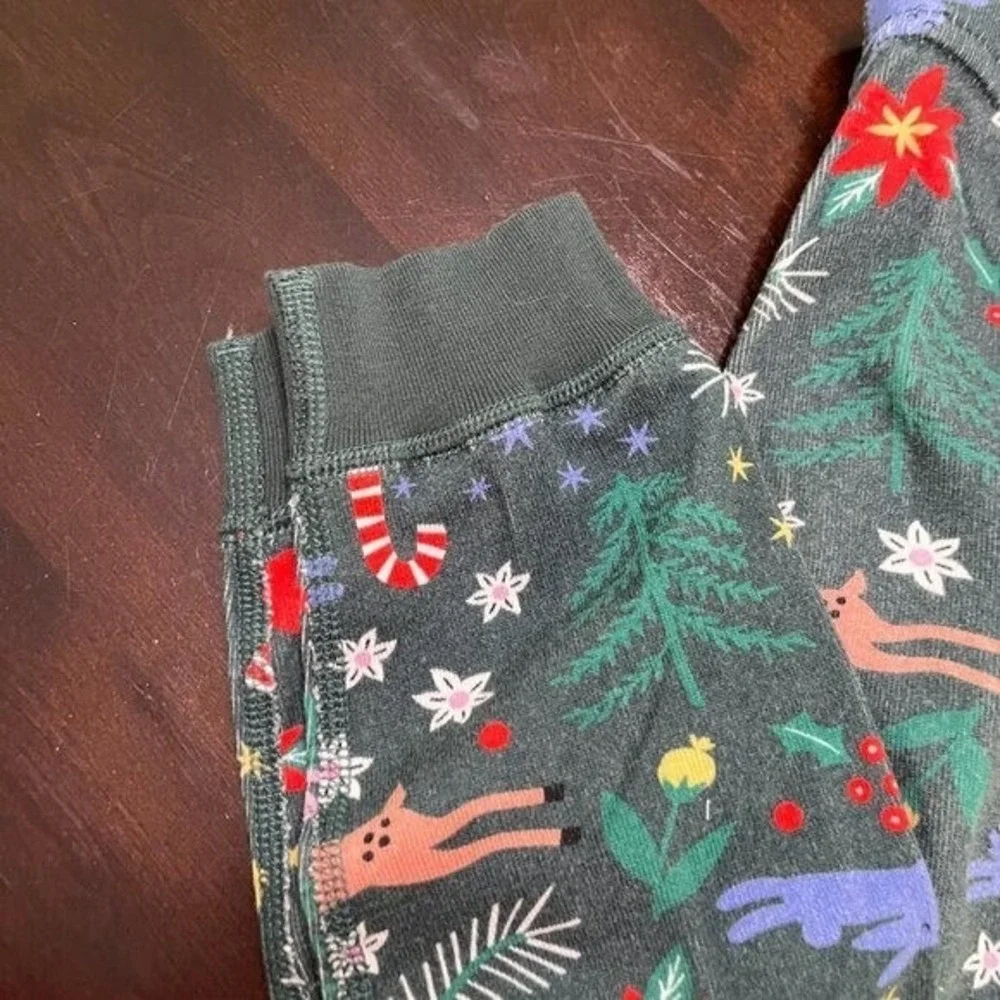 Hanna Andersson Winter Wonderland Pajama Cotton  Set Long Sleeve 2-Piece Size 10